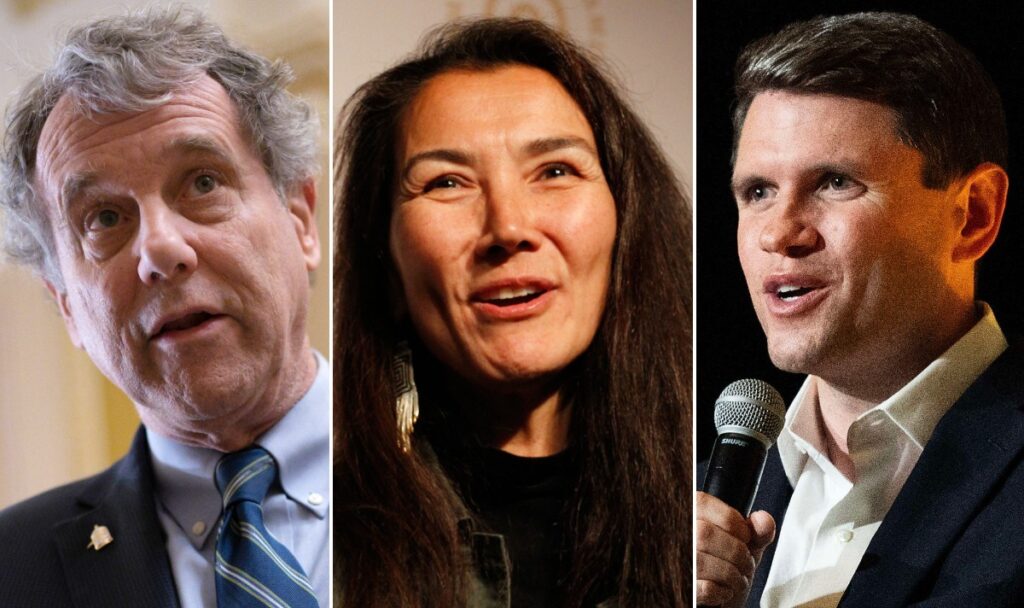 Democrats To Flip 3 Senate Seats in Major Swing, New Poll Shows - Newsweek