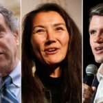 Democrats To Flip 3 Senate Seats in Major Swing, New Poll Shows - Newsweek