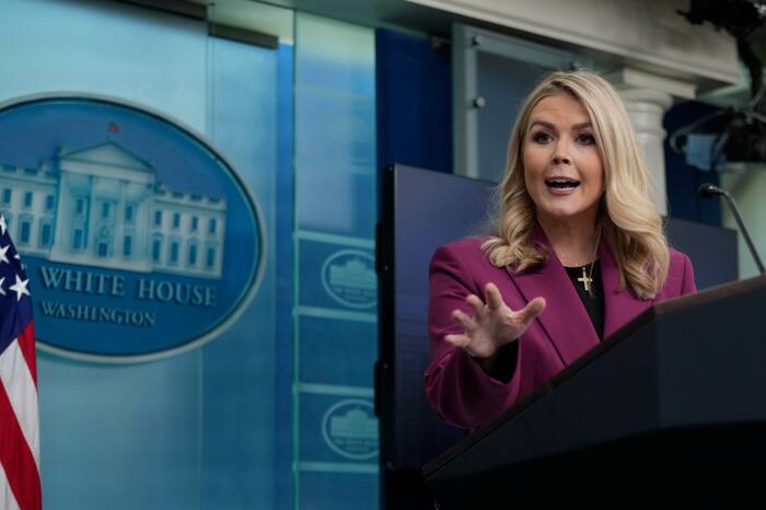Former press secretary Karoline Leavitt lands her next gig: Fox News contributor - WSLS