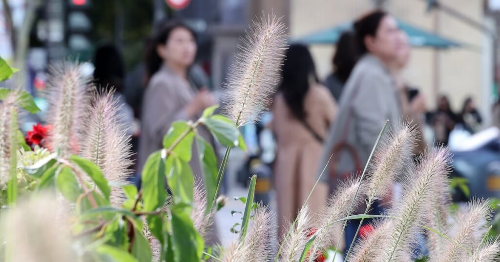 Final Holiday Day Brings 5-Degree Temperature Drop, Nationwide Rain - 조선일보