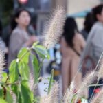 Final Holiday Day Brings 5-Degree Temperature Drop, Nationwide Rain - 조선일보