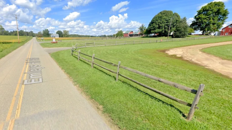 SUV Strikes Child and Woman at Upper Freehold Farm - SuaraGarut.ID