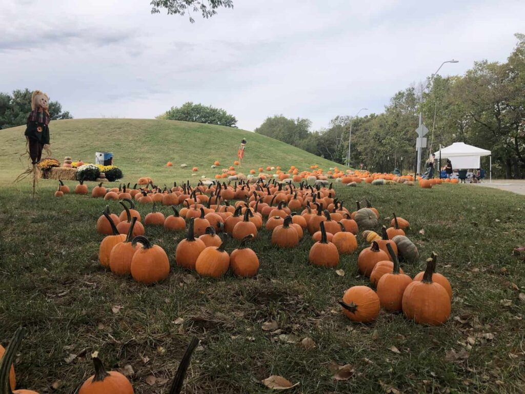 Annual Pumpkin Patch Celebrates Fall, Neighborhood Connections - Northeast News KC