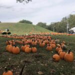 Annual Pumpkin Patch Celebrates Fall, Neighborhood Connections - Northeast News KC
