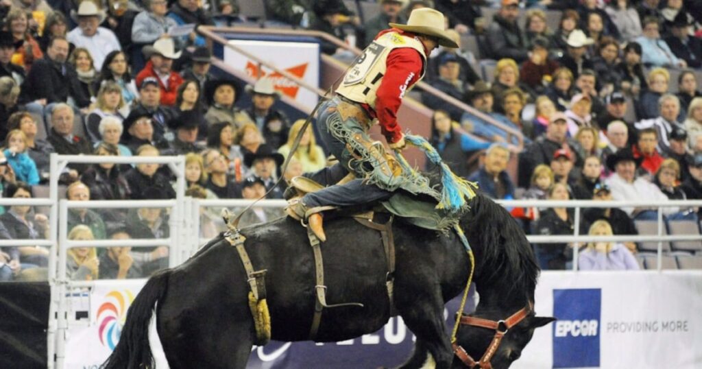 Thanksgiving thrills and rodeos: Here’s what’s happening in Edmonton this weekend - CTV News