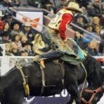 Thanksgiving thrills and rodeos: Here’s what’s happening in Edmonton this weekend - CTV News
