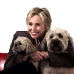 Page 6 | Jane Lynch of 'Glee' Wants YOU to Spay Today! | Feature - People for the Ethical Treatment of Animals (PETA)