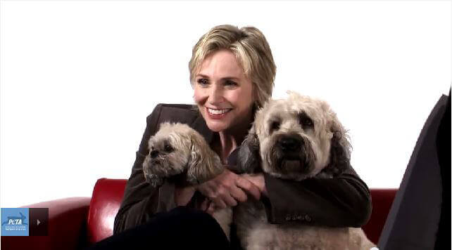 Page 6 | Jane Lynch of 'Glee' Wants YOU to Spay Today! | Feature - People for the Ethical Treatment of Animals (PETA)