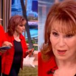 Joy Behar, 84, Returns To 'The View' One Month After Devastating Injury On Set - 'Worse Than Childbirth...' - TheMix.net
