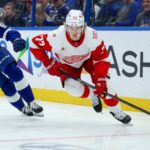 Report: Edvinsson Would Prefer Red Wings Trade Him - detroithockeynow.com