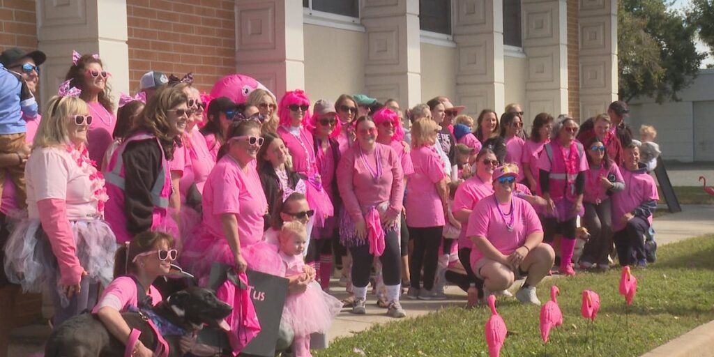 Flamingo Challenge bridge walk raises breast cancer awareness funds - WJHG