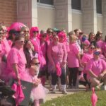 Flamingo Challenge bridge walk raises breast cancer awareness funds - WJHG