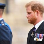 Prince Harry risks 'lobbing a grenade' at Prince William as chance to heal years-long feud emerges: expert - Fox News