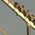 Man who fell to his death while riding Six Flags roller coaster identified - WBTV
