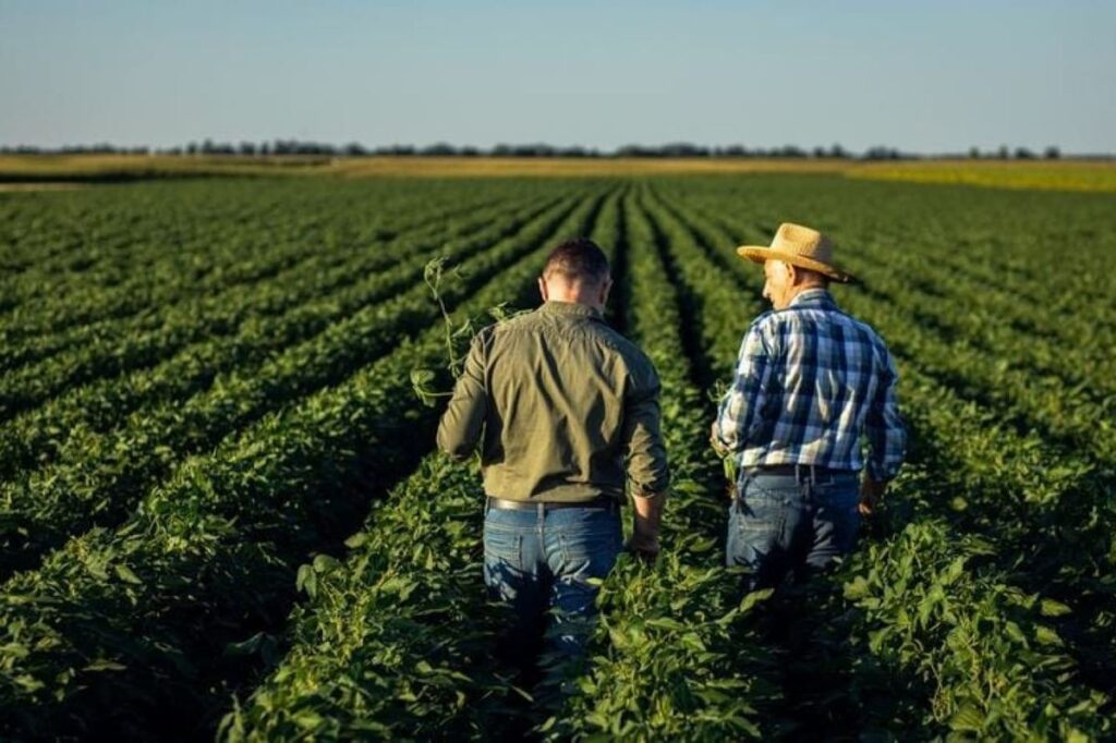 White House Unveils $8 Billion Relief Plan For US Farmers - tippinsights