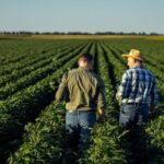 White House Unveils $8 Billion Relief Plan For US Farmers - tippinsights