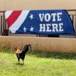 County announces closures for 2026 General Election Day - Kauai Now