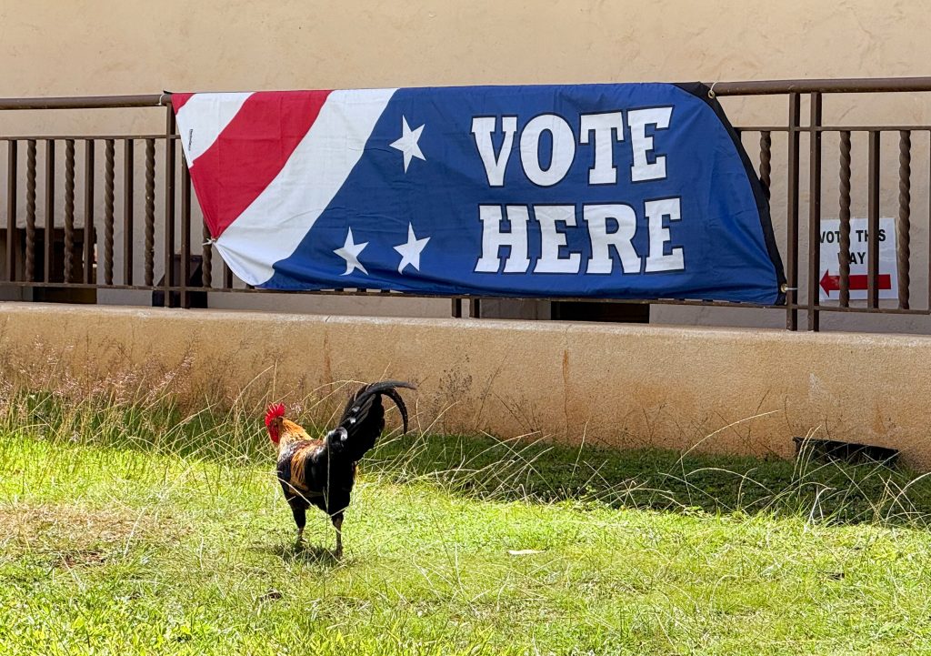 County announces closures for 2026 General Election Day - Kauai Now