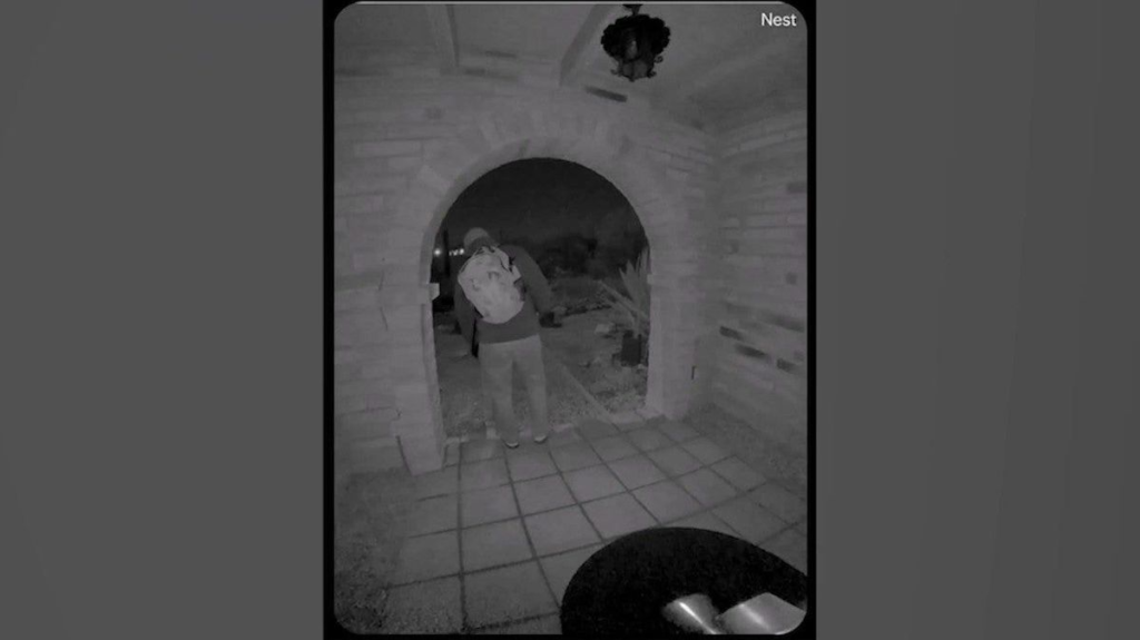 Luke Daley Arrested Again on Unrelated Charges in Arizona - SuaraGarut.ID