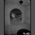 Luke Daley Arrested Again on Unrelated Charges in Arizona - SuaraGarut.ID