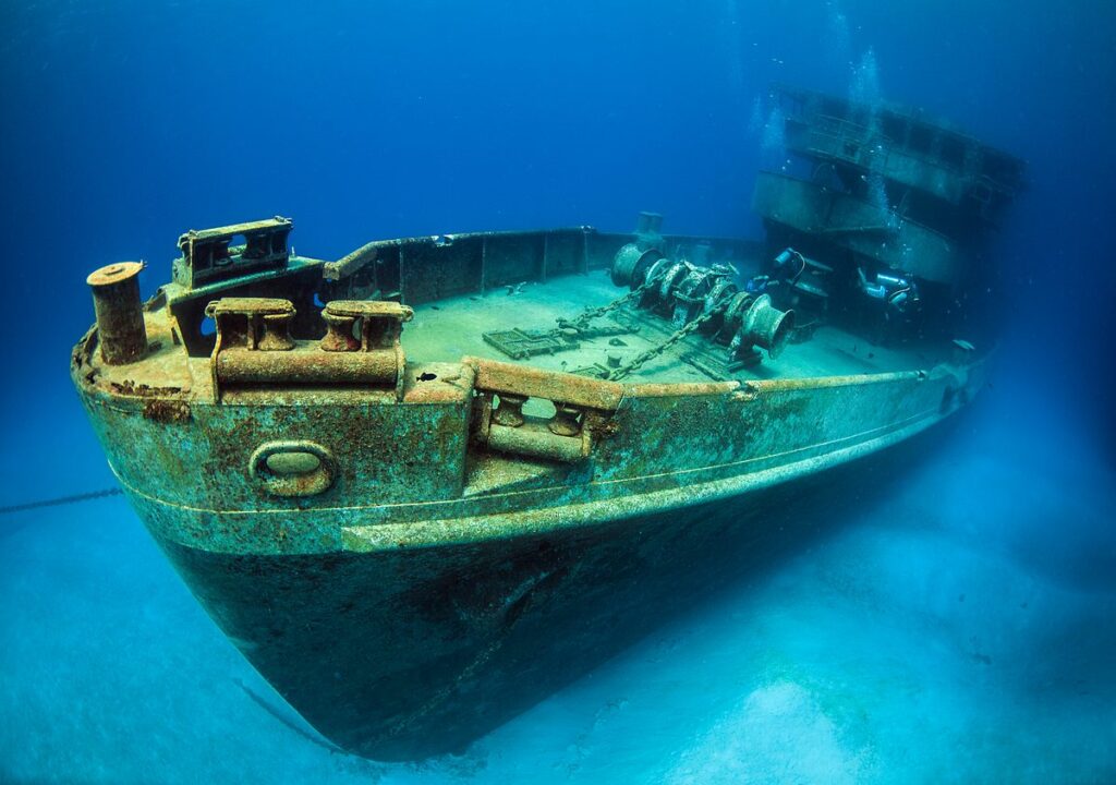 It cost an eye-watering $40,000 to sink this ship and turn it into a reef – and the costly reason weighed less than a pineapple - BBC Wildlife Magazine