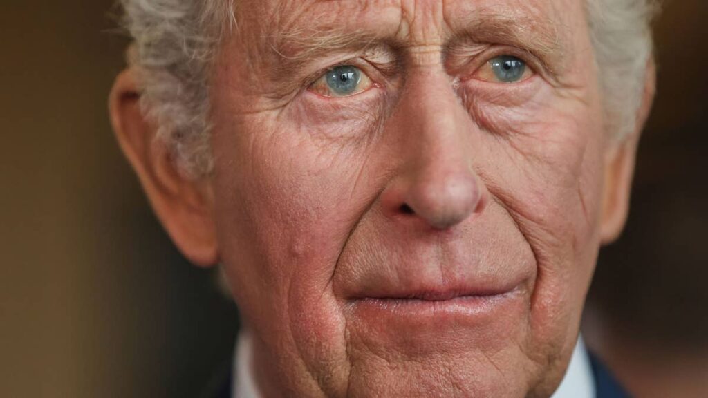 King Charles facing the 'biggest risk of his reign' - HELLO! Magazine
