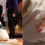 Service Dog Joins Mom’s White Coat Ceremony And Gets His Own Surprise - The Dodo