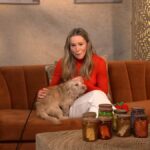 Kristen Bell Talks ‘Nobody Wants This’ While Cuddling The Cutest Pup On Her Dream Date - The Dodo