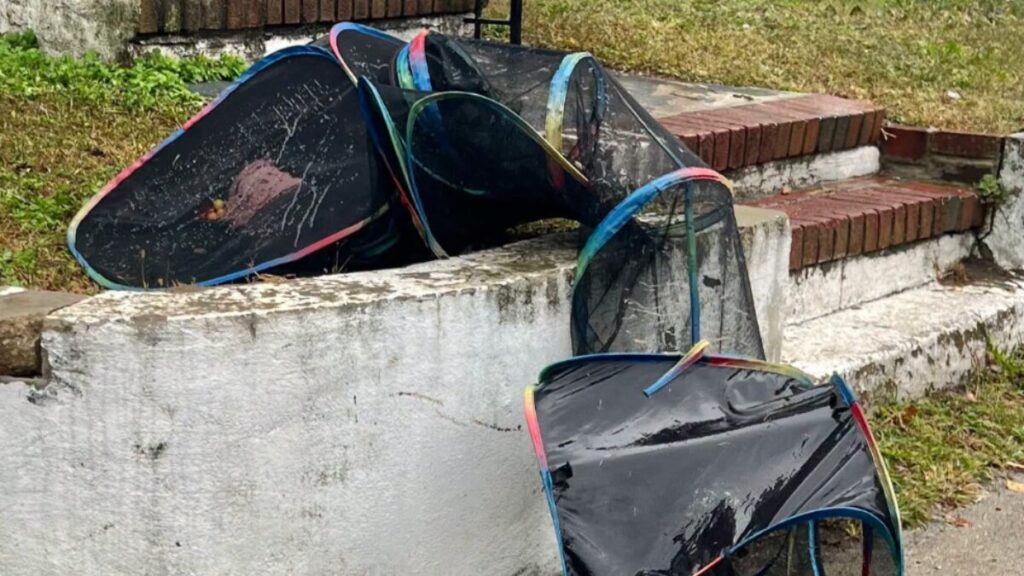 Officers Get A Call About Mesh Tunnel In Yard And Find 4 'Soaking Wet' Babies Inside - The Dodo