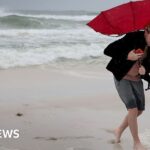 Hurricane Isaias downgraded after making landfall in Florida - BBC