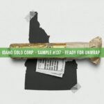 Legacy Gold Mines Plans CA$3 Million Raise To Keep Drilling Baner - Finimize