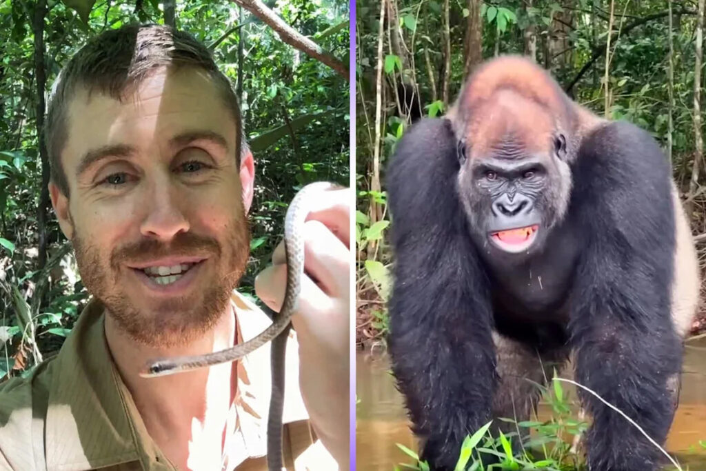 Millions are watching Ash Dykes travel through the Congo Basin. Why do we love watching other people put themselves through extreme adventures? - Yahoo