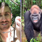 Millions are watching Ash Dykes travel through the Congo Basin. Why do we love watching other people put themselves through extreme adventures? - Yahoo