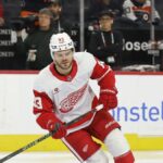 Red Wings Sign Alex DeBrincat & Suggested Simon Edvinsson Trade - Substack