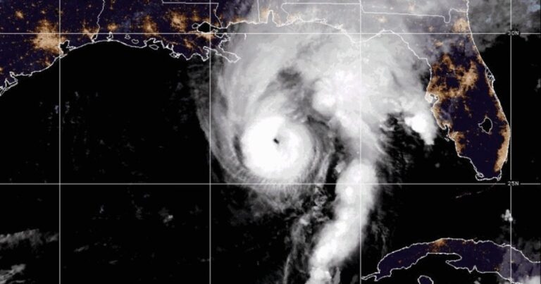Hurricane Isaias Power Outages: When Will Florida Get Power Back? - International Business Times, Singapore Edition