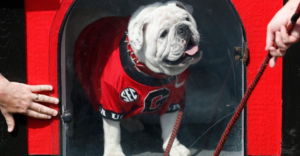 Saturday Predictions: Georgia - Anchor Of Gold