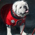 Saturday Predictions: Georgia - Anchor Of Gold
