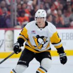 Oilers acquire forward Hallander from Penguins for defenceman Stastney - meadowlakeNOW