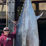Reel big: Whopper of a tuna caught off Rye - New Hampshire Public Radio