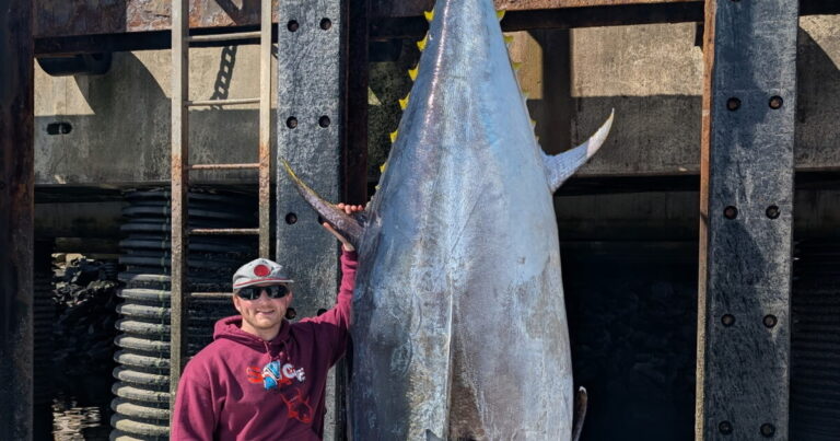 Reel big: Whopper of a tuna caught off Rye - New Hampshire Public Radio