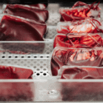 Changing the Flow: How Youth Advocacy Can End the Global Blood Shortage - The European Sting